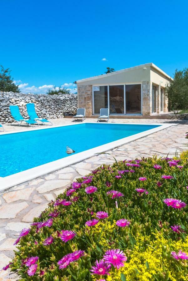 BogatićRural House Mudrinic "Ivini Dvori"别墅 外观 照片