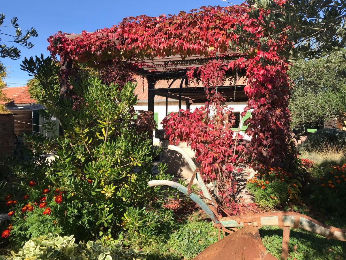 BogatićRural House Mudrinic "Ivini Dvori"别墅 外观 照片